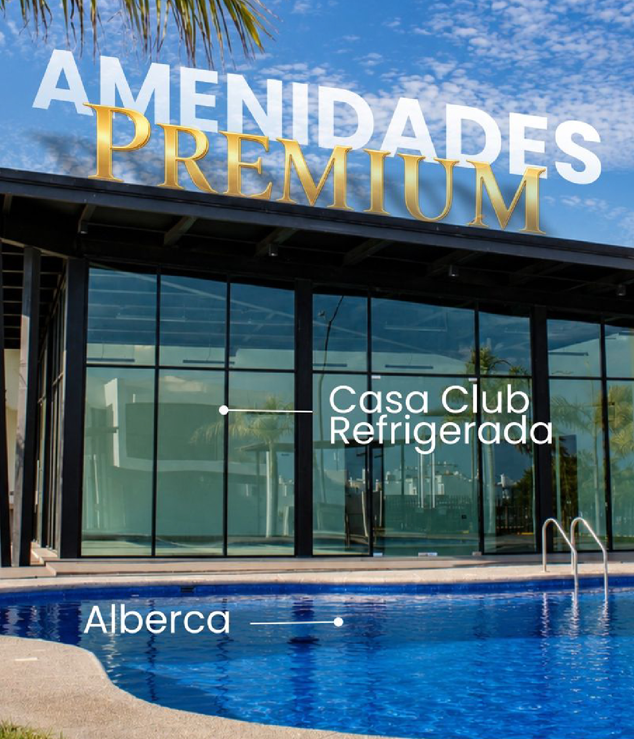 Alberca